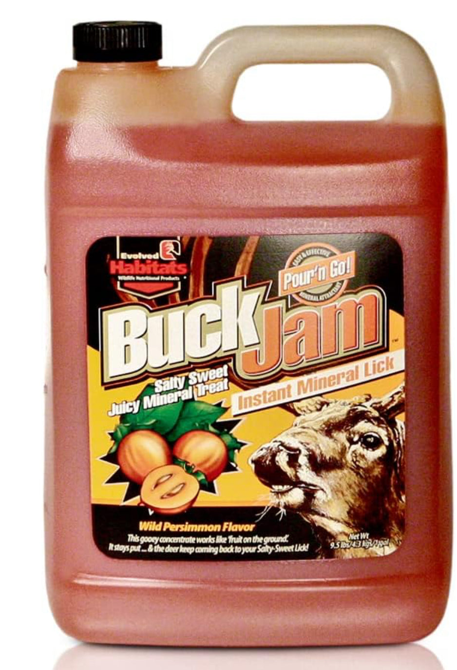 Envolved 21303 Buck Jam Wild Persimmon