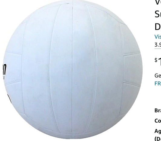 Baden V200-00-PA Official Size Rubber Volleyball White