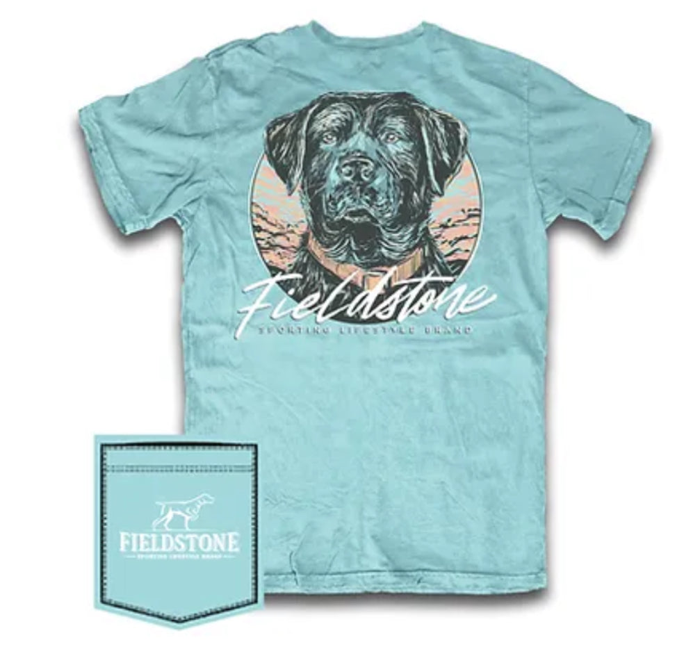 Fieldstone  Sunset Lab S/S  Tee Chalky Mint 466