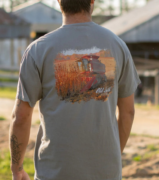 Old South Corn Field Short Sleeve Grey